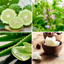 Load image into Gallery viewer, Turquoise Dreams